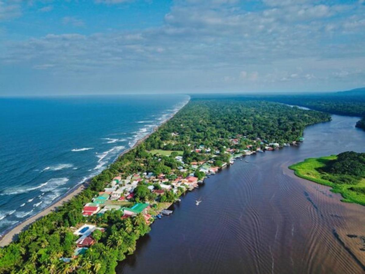 Baula Lodge Tortuguero Bagian luar foto