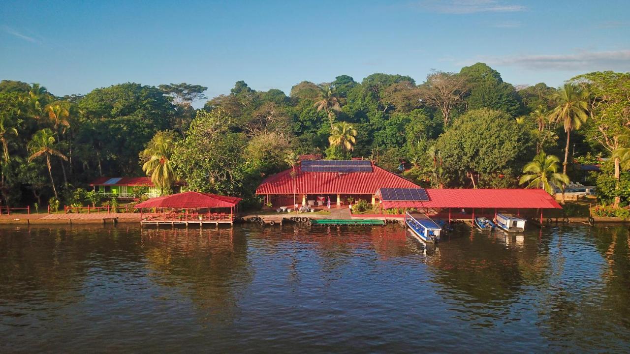 Baula Lodge Tortuguero Bagian luar foto
