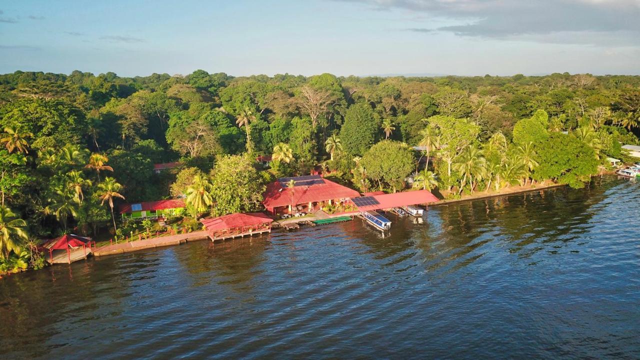Baula Lodge Tortuguero Bagian luar foto